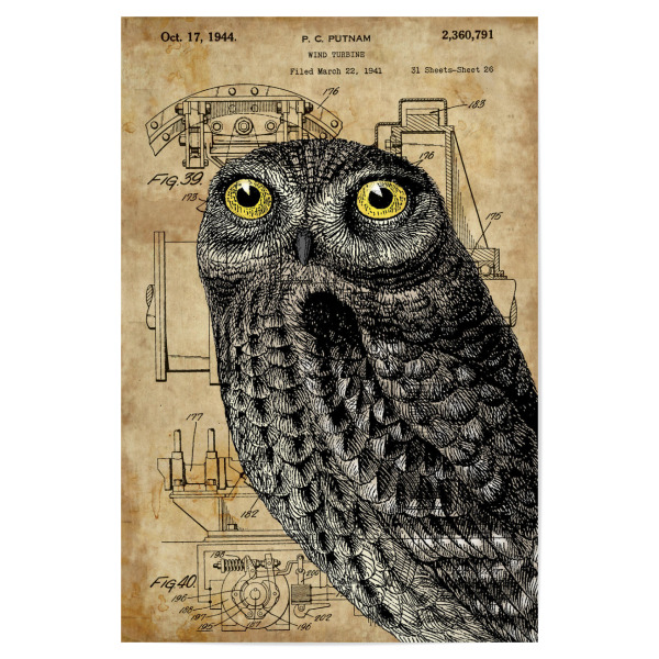 Poster "Steampunk Kleine Eule" artboxONE - Tiere - Raubvögel,Vogel,Tier,Eule,Natur