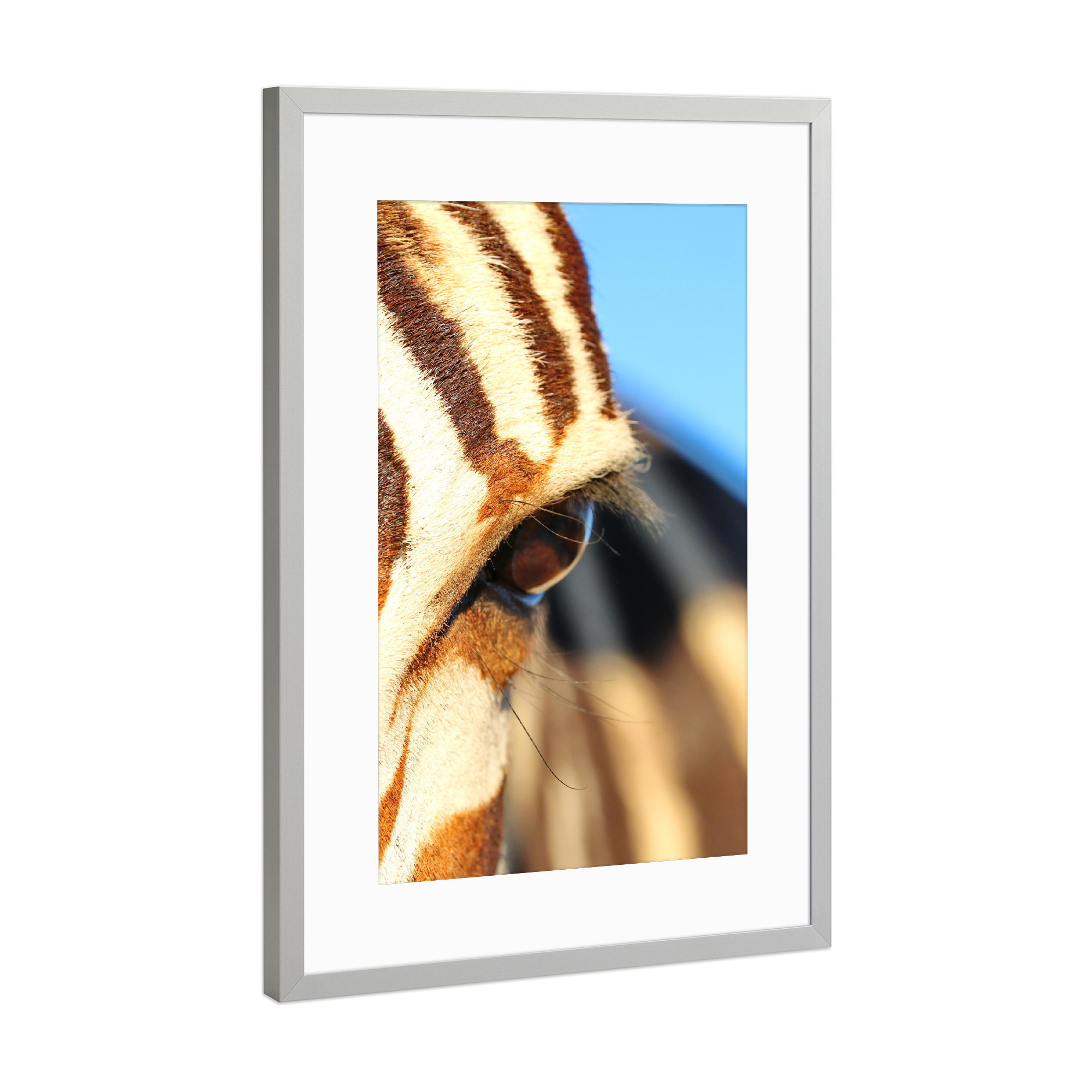 Poster mit Rahmen Silber "Zebra Eye" artboxONE - Tiere,Reise / Afrika - Zebra,Auge,Zebrastreifen,Afrika