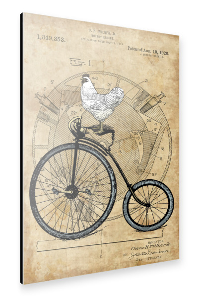 Alu-Dibond "Hühnchen auf einem Fahrrad" 30x20 cm artboxONE