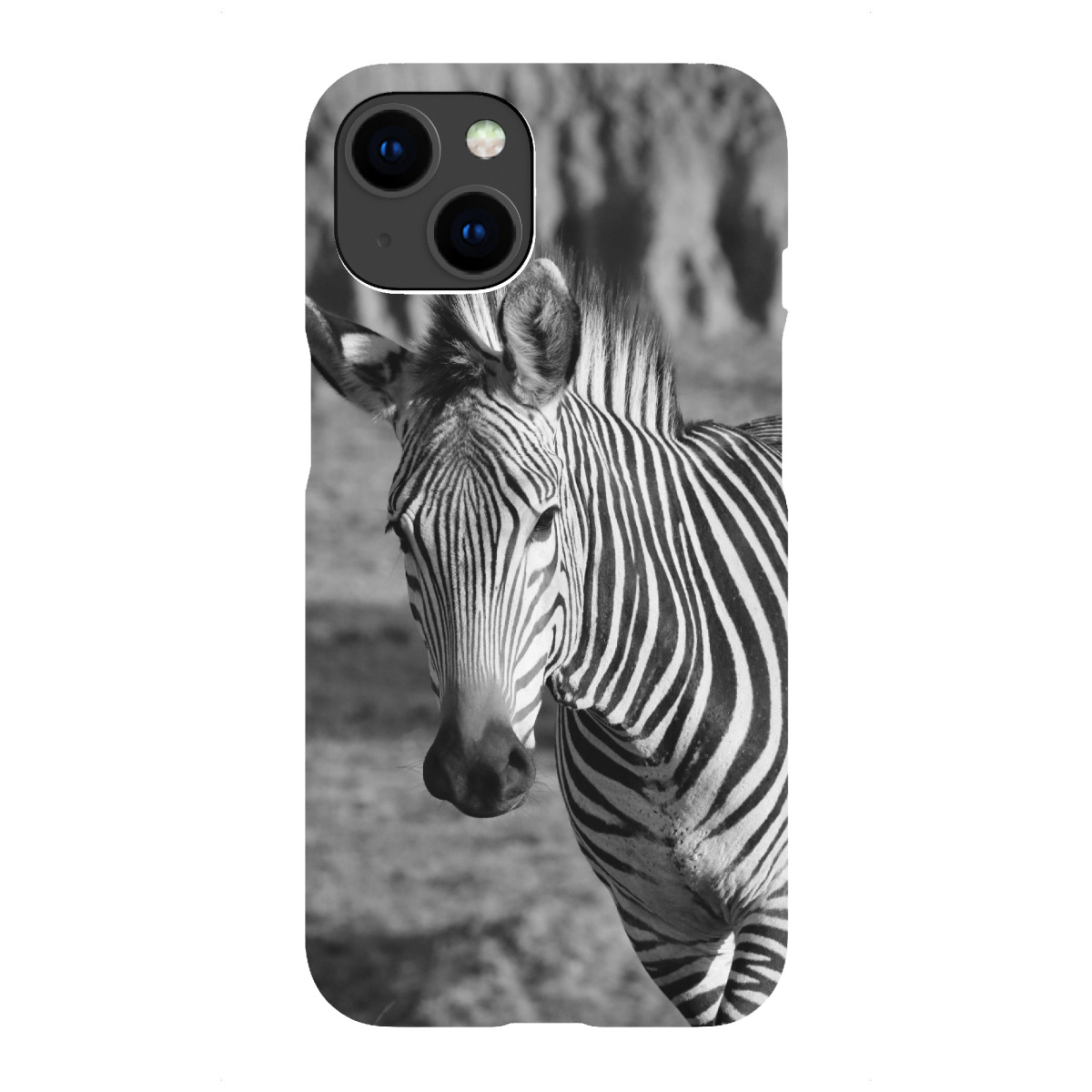 "Berg Zebra Tanz"für iPhone - Premium-Case Handyhülle artboxONE