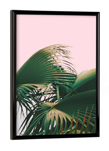 Poster mit schwarzem Rahmen "Palm Love" artboxONE - Natur - Palm,Palms,Nature,Botanical,Leaves,Blush,Exotic,Travel