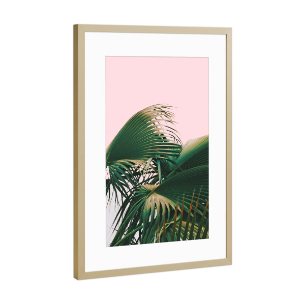 Poster mit Rahmen Gold "Palm Love" artboxONE - Natur - Palm,Palms,Nature,Botanical,Leaves,Blush,Exotic,Travel