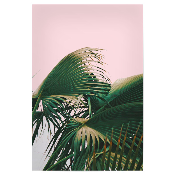 Poster "Palm Love" artboxONE - Natur - Palm,Palms,Nature,Botanical,Leaves,Blush,Exotic,Travel