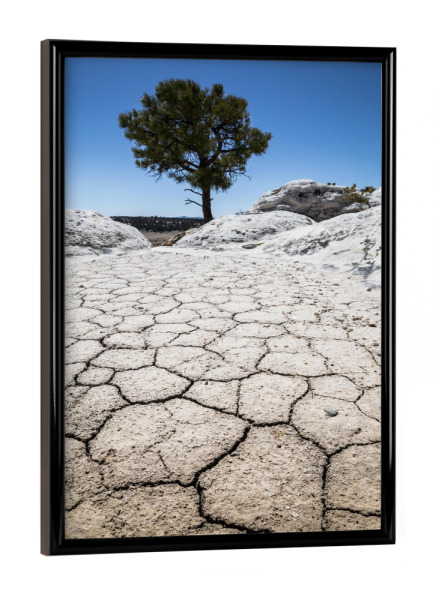 Poster mit schwarzem Rahmen "Waiting for the rain" artboxONE - Natur - Wüste,Neumexiko,Nadelbaum