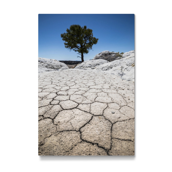 Galerie-Print "Waiting for the rain" 30x20 cm artboxONE