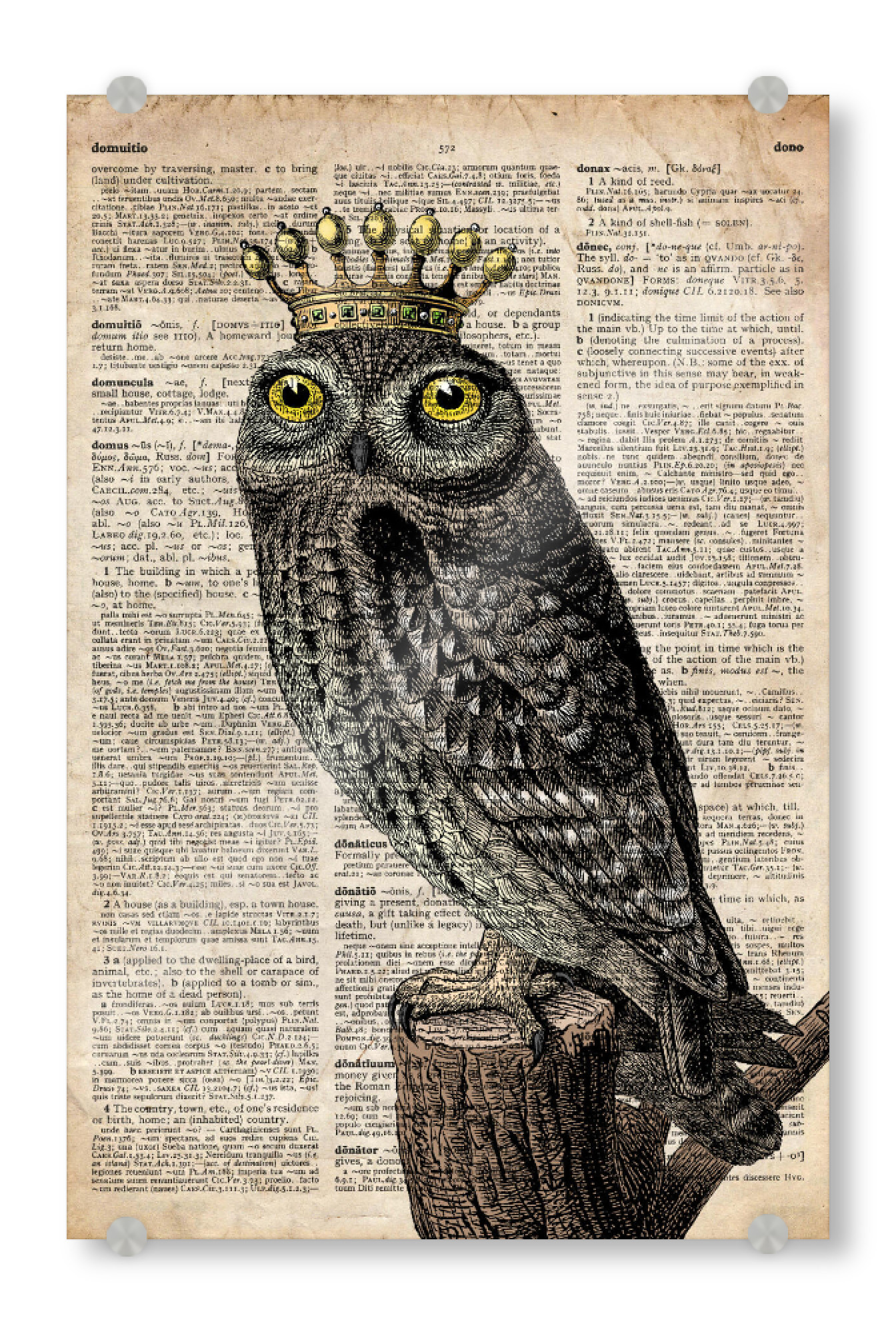 Acrylglasbild "König Eule - Wörterbuch" artboxONE - Tiere - Eule,Vogel,Tier,Königin,Königlich,Wörterbuch,Antik,Vintage,Krone