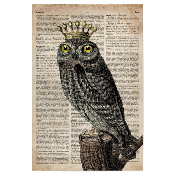 Poster 30x20 cm "König Eule - Wörterbuch" artboxONE - Tiere - Eule,Vogel,Tier,Königin,Königlich,Wörterbuch,Antik,Vintage,Krone