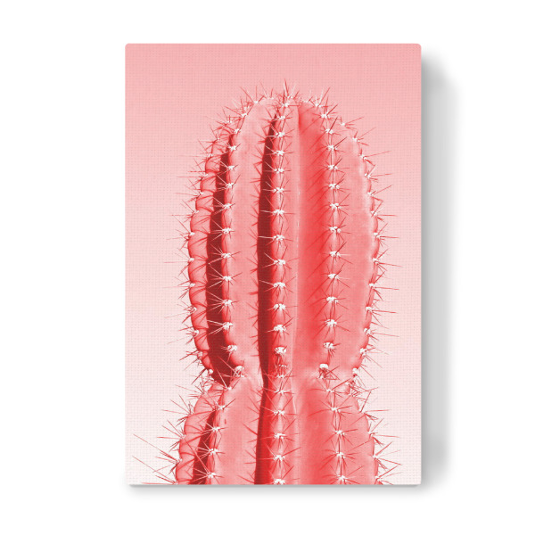 Leinwandbild "Stacheliger Kaktus rot" artboxONE - Abstrakt - Kaktus