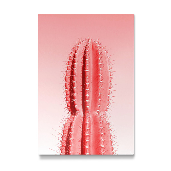 Galerie-Print "Stacheliger Kaktus rot" 30x20 cm artboxONE