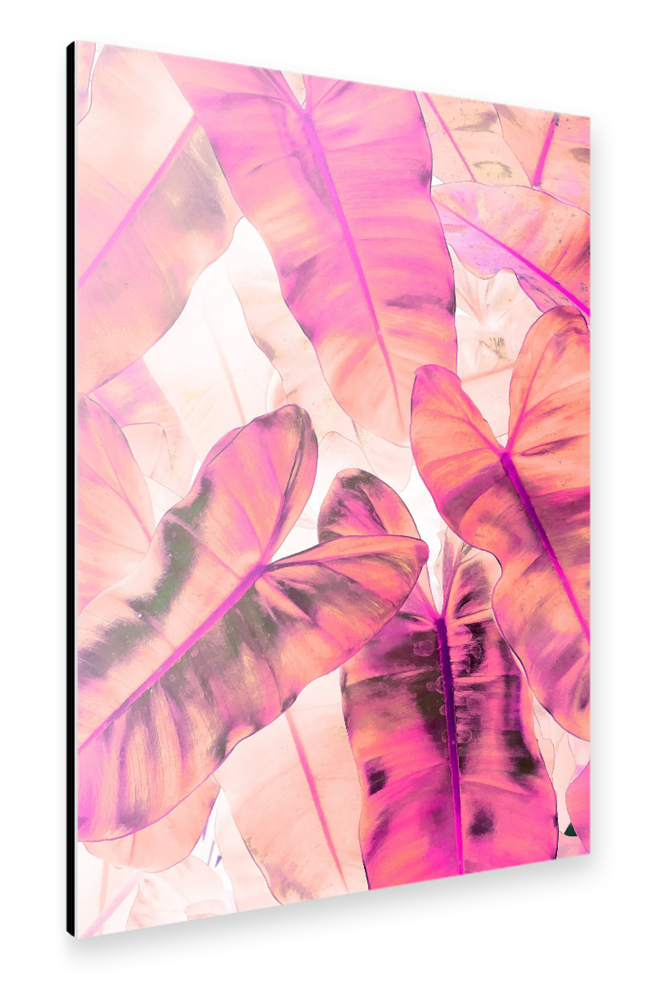 Alu-Dibond "Pink Nirvana" 30x20 cm artboxONE