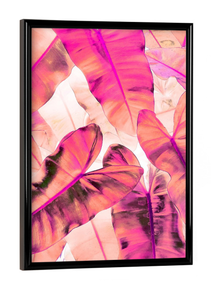 Poster mit schwarzem Rahmen "Pink Nirvana" artboxONE - Natur - Graphic design,Nature,Pink,Ultraviolet,Leaves,Botanical,Shades,Digital manipulation