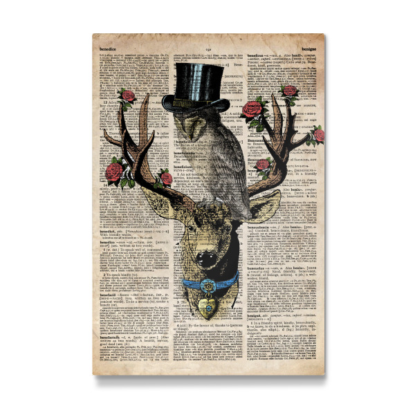 Galerie-Print "Eule und Hirsch" 30x20 cm artboxONE