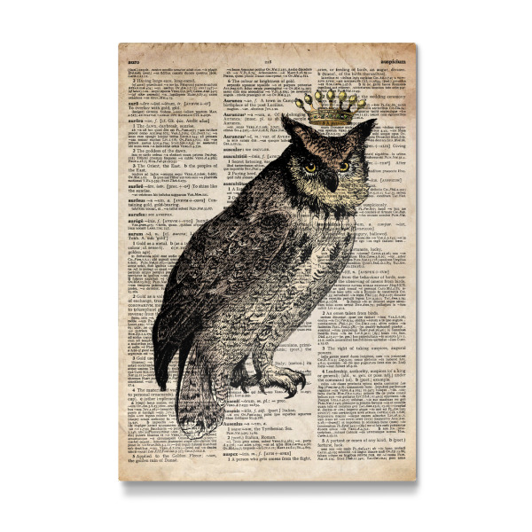 Galerie-Print "Königliche Eule - Wörterbuch" 30x20 cm artboxONE