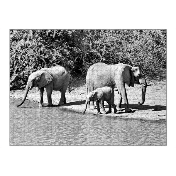 Puzzle Ravensburger "Elefanten Familie am Ufer" artboxONE - Tiere,Schwarzweiß,Reise / Afrika - Elefant,Zimbabwe,Elfenbein,Familie,Natur,Wasserstelle