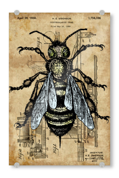 Acrylglasbild "Steampunk Wespe" artboxONE - Tiere - Wespe,Insekt,Tier,Steampunk,Entwurf,Antik,Patent