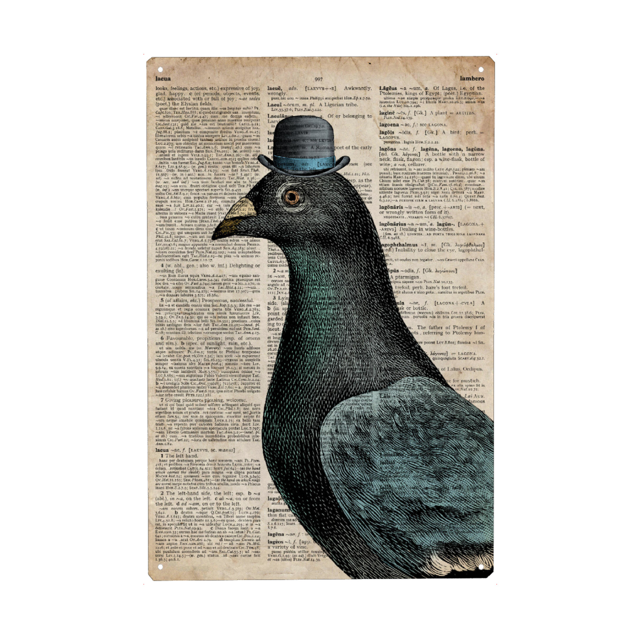 Metall Poster "Taube in einem Hut" artboxONE - Tiere - Hut,Vogel,Tier,Wörterbuch,Antik,Vintage,Taube,Gentleman - Blechschild
