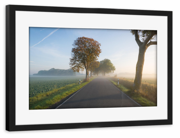 Poster mit Rahmen schwarz "Herbstallee auf Rügen" artboxONE - Natur,Reise - Straße,Herbst,Bäume,Mecklenburg-vorpommern,Deutschland