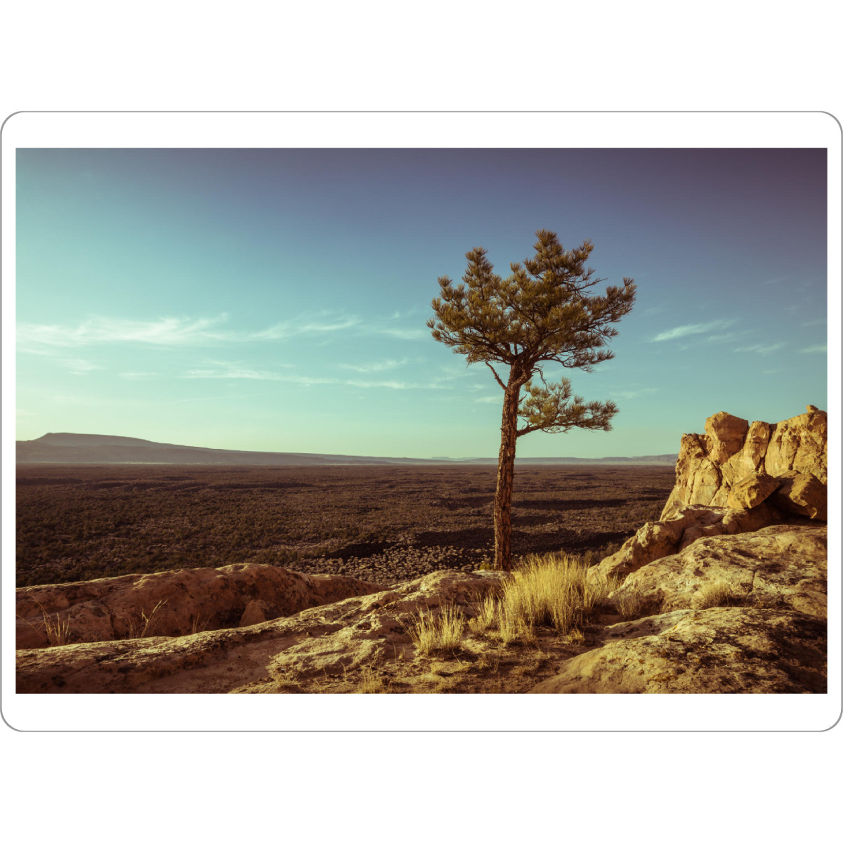 Tischset "Southwest USA" artboxONE - Reise / Länder - Neumexiko,Usa,Sandsteinfelsen - Bild neumexiko