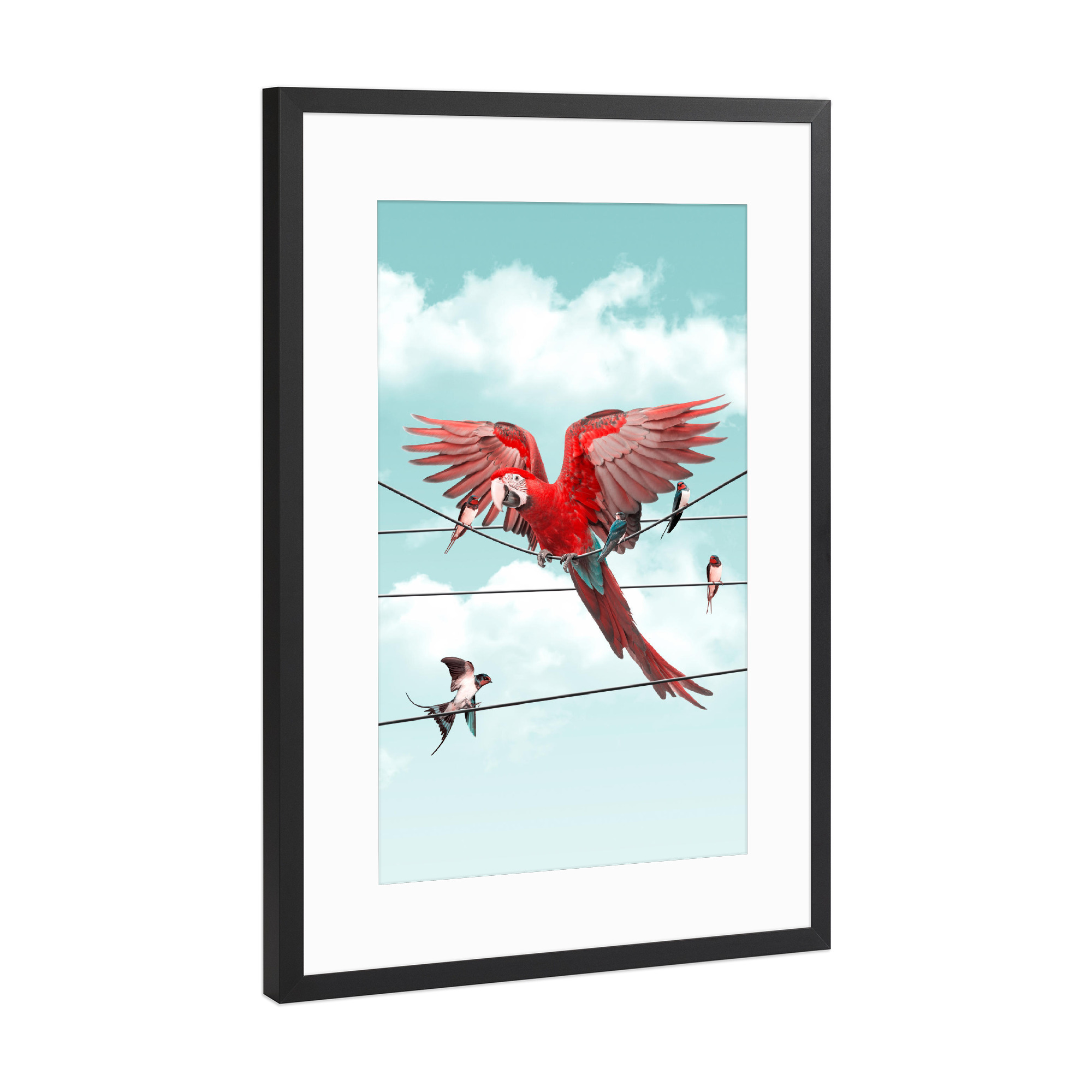 Poster mit Rahmen Schwarz (Metallic) "COLORFUL STRANGER" artboxONE - Natur,Für Kinder,Tiere