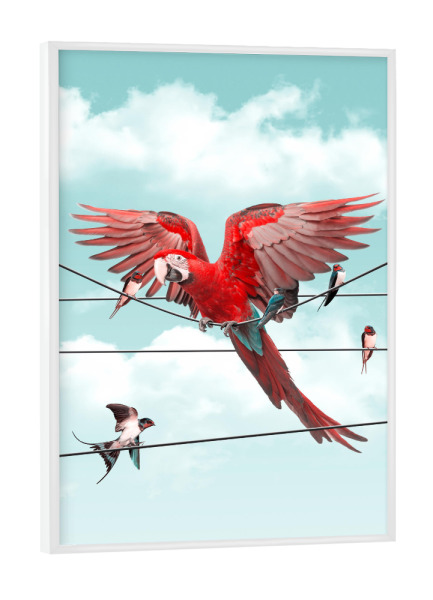 Poster mit weißem Rahmen "COLORFUL STRANGER" artboxONE - Natur,Für Kinder,Tiere