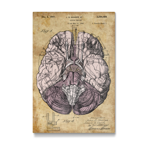 Galerie-Print "Steampunk Gehirn" 30x20 cm artboxONE