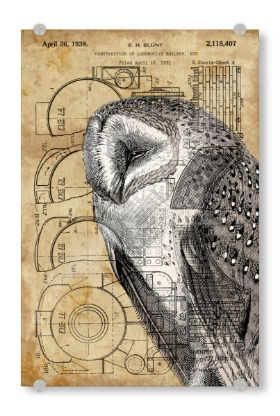 Acrylglasbild "Steampunk Schleiereule" artboxONE - Tiere - Raubvögel,Vogel,Tier,Eule,Antik,Natur,Steampunk,Retro,Vintage,Schleiereule