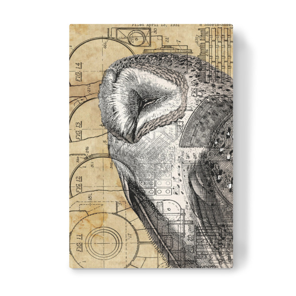 Leinwandbild "Steampunk Schleiereule" artboxONE - Tiere - Raubvögel,Vogel,Tier,Eule,Antik,Natur,Steampunk,Retro,Vintage,Schleiereule