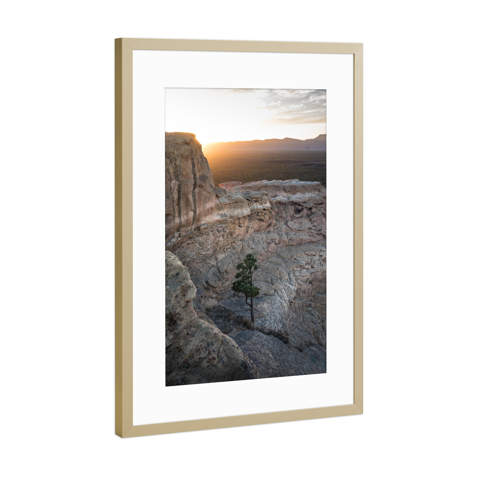 Poster mit Rahmen Gold "The lonely tree" artboxONE - Natur - Sandstein,Neumexiko,Usa