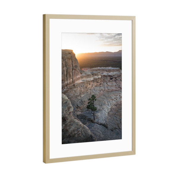 Poster mit Rahmen Gold "The lonely tree" artboxONE - Natur - Sandstein,Neumexiko,Usa