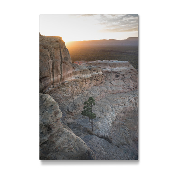 Galerie-Print "The lonely tree" 30x20 cm artboxONE