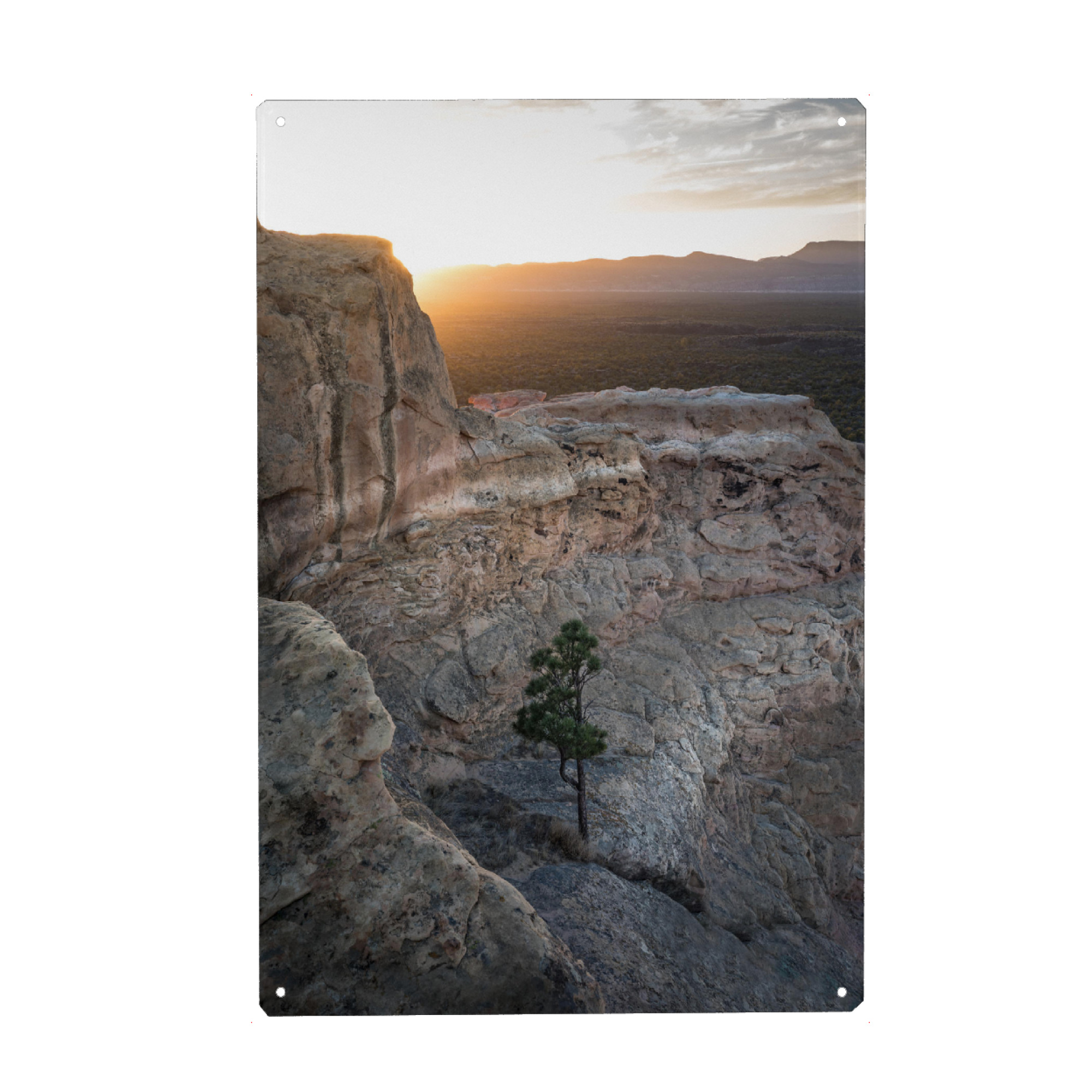 Metall Poster "The lonely tree" artboxONE - Natur - Sandstein,Neumexiko,Usa - Blechschild