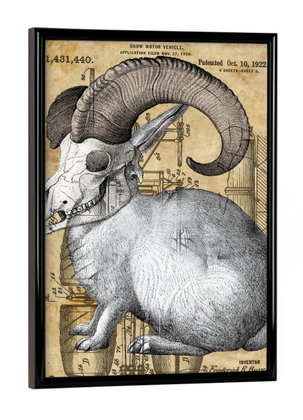 Poster mit schwarzem Rahmen "Schädel Hase" artboxONE - Tiere - Hase,Schädel,Kaninchen,Anatomie,Steampunk,Gothic,Goth,Macabre,Seltsam,Tier