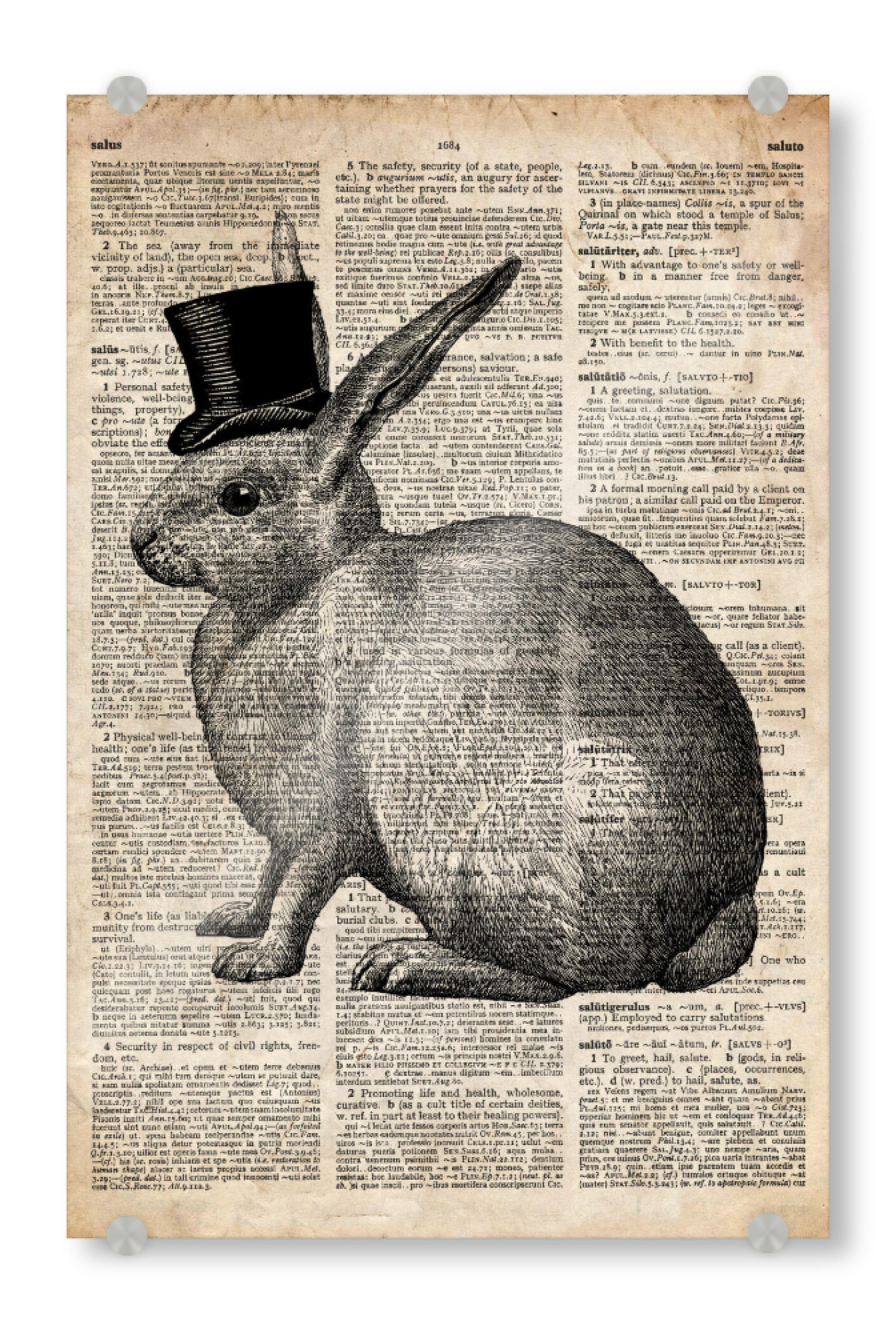 Acrylglasbild "Viktorianisches Kaninchen" artboxONE - Tiere,Schwarzweiß - Tier,Wörterbuch,Antik,Vintage,Steampunk,Wald,Viktorianisch,Hase,Kaninchen