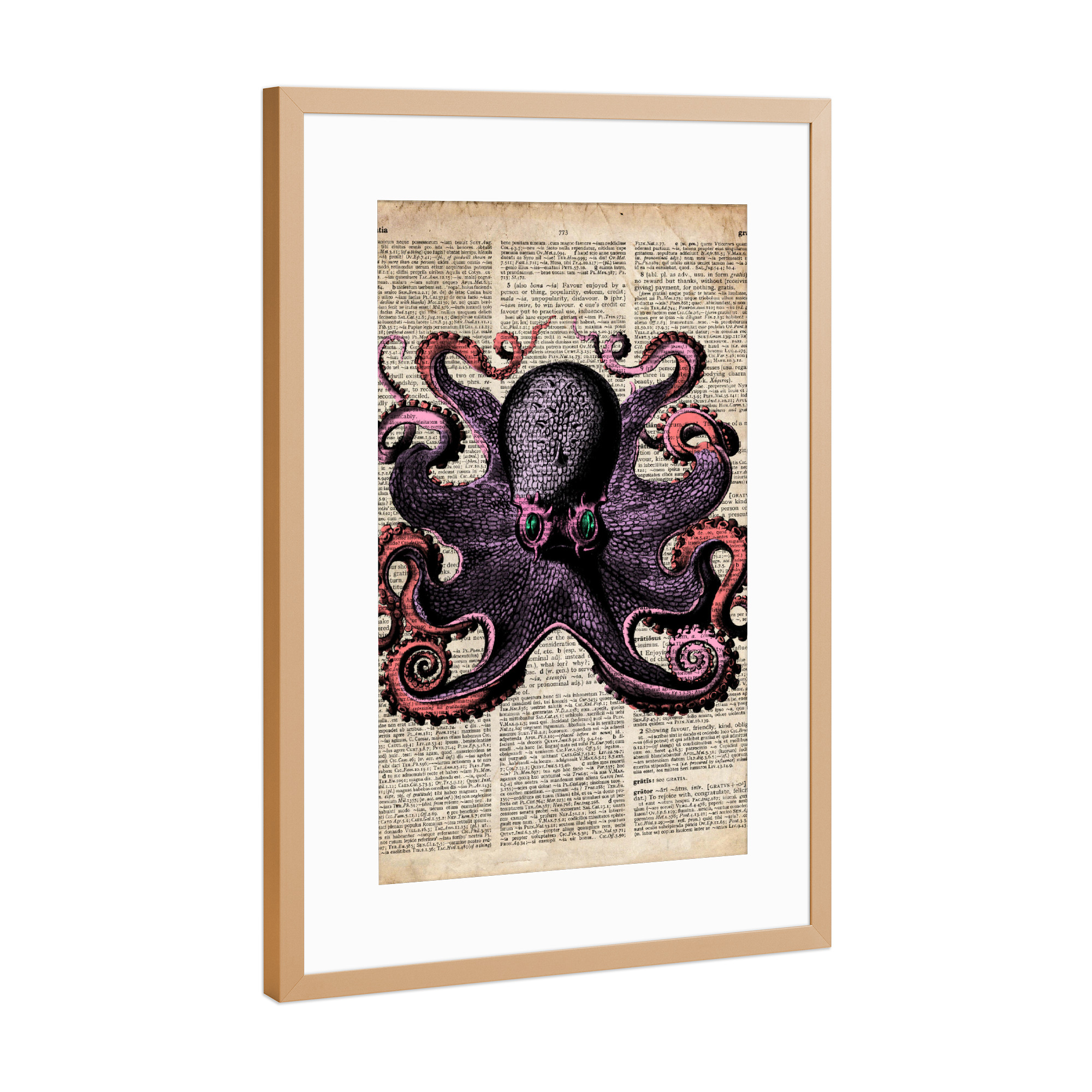 Poster mit Rahmen Kupfer "Rosa Tintenfisch" artboxONE - Tiere - Meer,Ozean,Wal,Nautisch,Antik,Wörterbuch,Tintenfisch,Krake