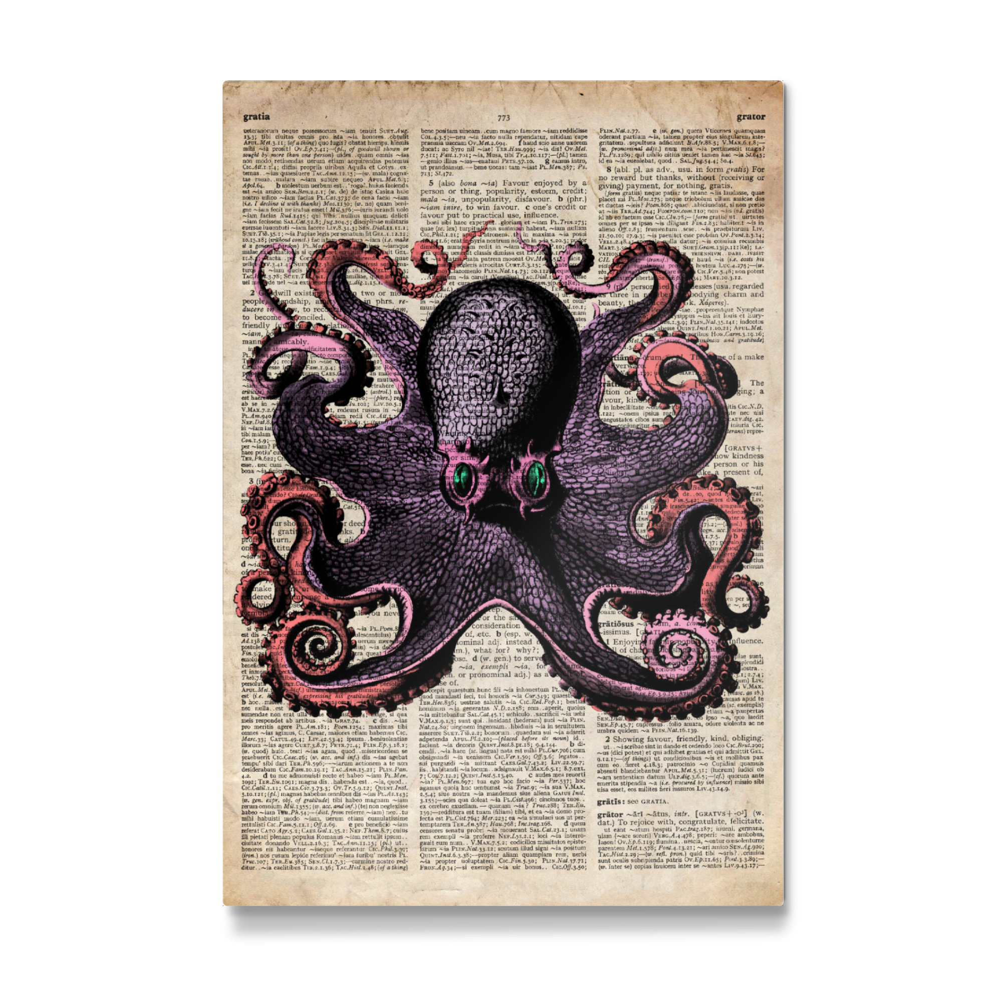 Galerie-Print "Rosa Tintenfisch" 75x50 cm artboxONE