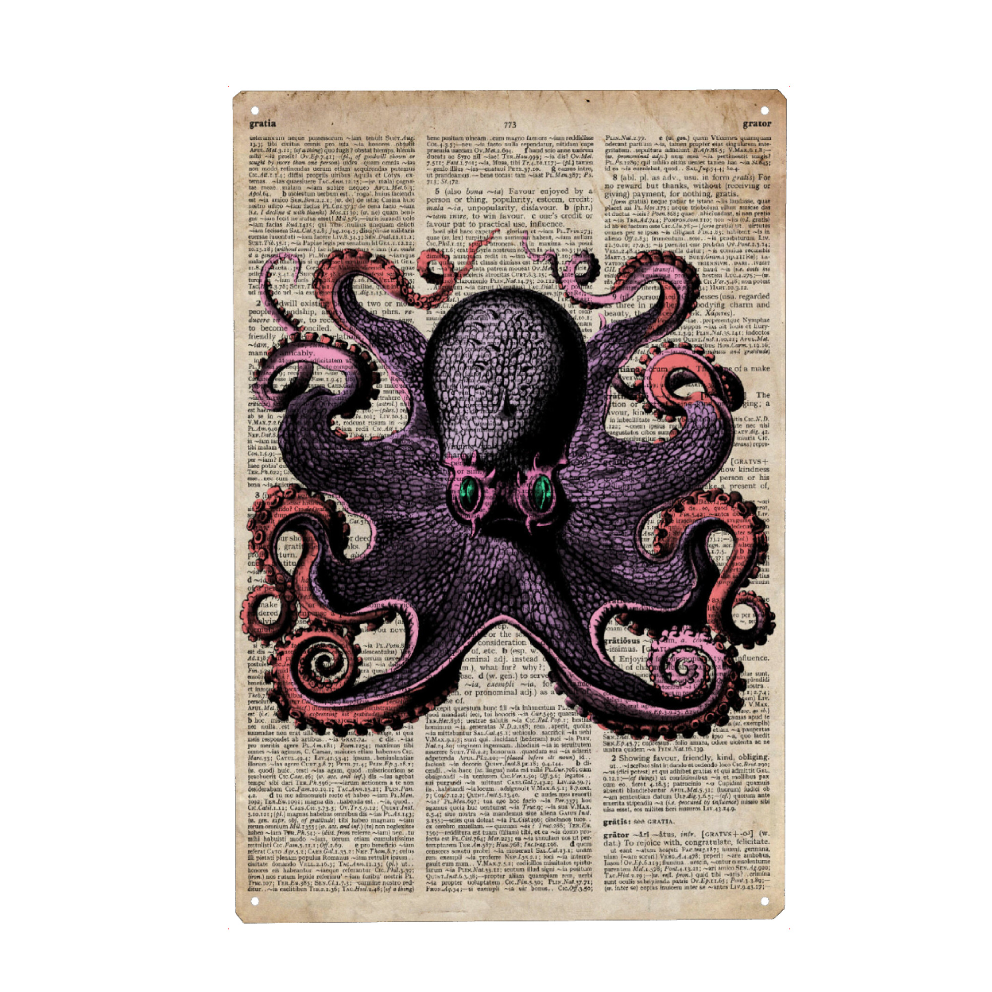 Metall Poster "Rosa Tintenfisch" artboxONE - Tiere - Meer,Ozean,Wal,Nautisch,Antik,Wörterbuch,Tintenfisch,Krake - Blechschild