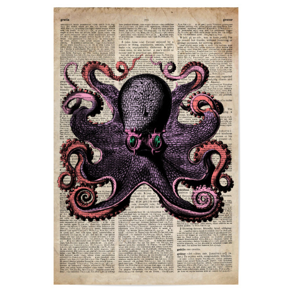 Poster 30x20 cm "Rosa Tintenfisch" artboxONE - Tiere - Meer,Ozean,Wal,Nautisch,Antik,Wörterbuch,Tintenfisch,Krake