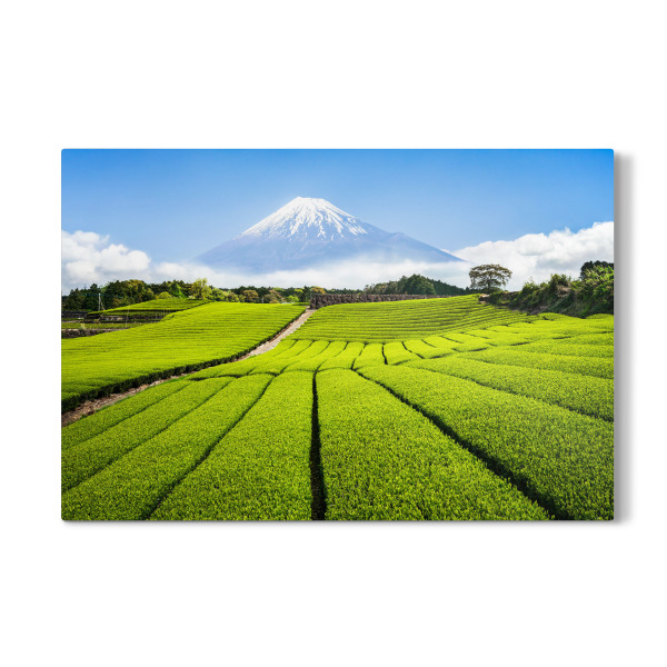 Galerie-Print "Berg Fuji mit Teefeld, Japan" 30x20 cm artboxONE