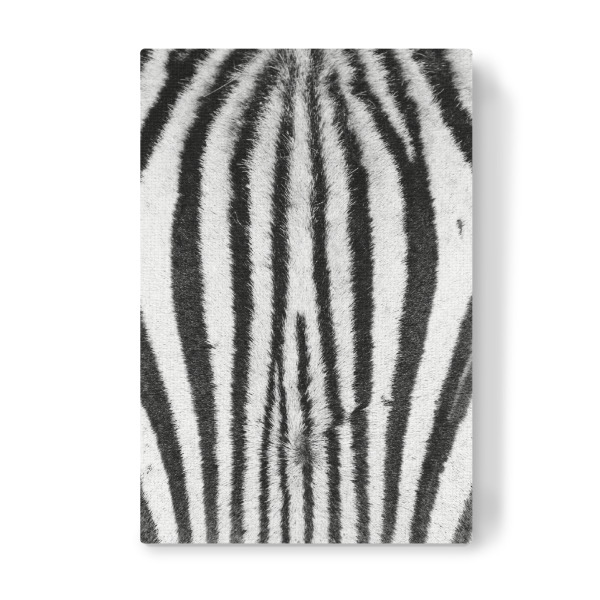 Leinwandbild "Zebra Stirn" artboxONE - Tiere,Schwarzweiß,Reise / Afrika - Zebra,Stirn,Fell,Pattern,Muster,Streifen
