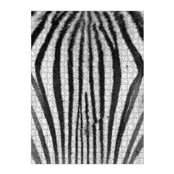 artboxONE Puzzle "Zebra Stirn" artboxONE - Tiere,Schwarzweiß,Reise / Afrika - Zebra,Stirn,Fell,Pattern,Muster,Streifen - Bild zebra