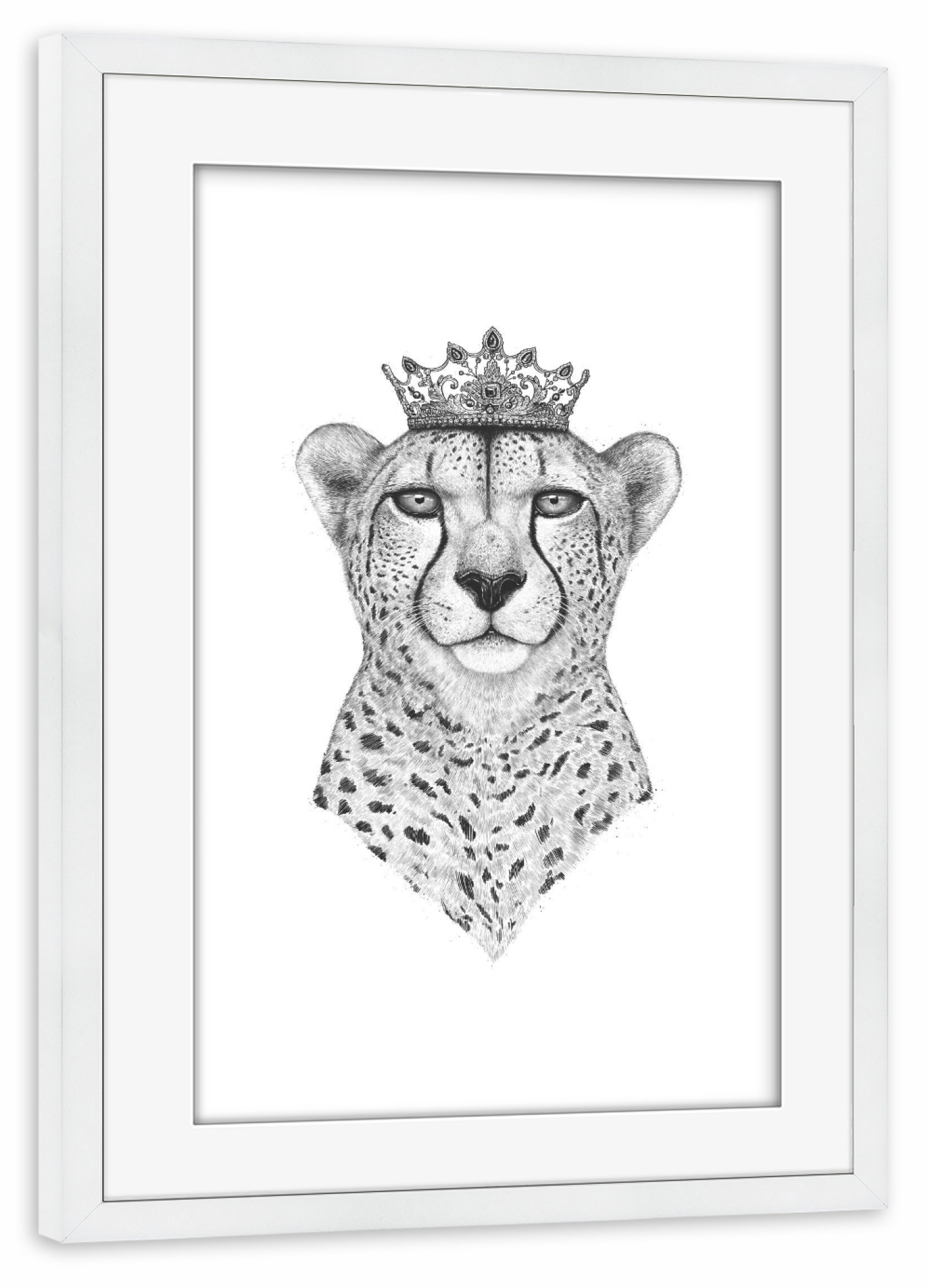 Poster mit Rahmen weiß "The Queen Cheetah" artboxONE - Tiere,Schwarzweiß - Cheetah,Cat,Royal,Queen,Leopard