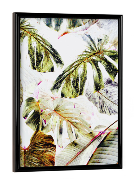 Poster mit schwarzem Rahmen "Vintage Tropica" artboxONE - Natur