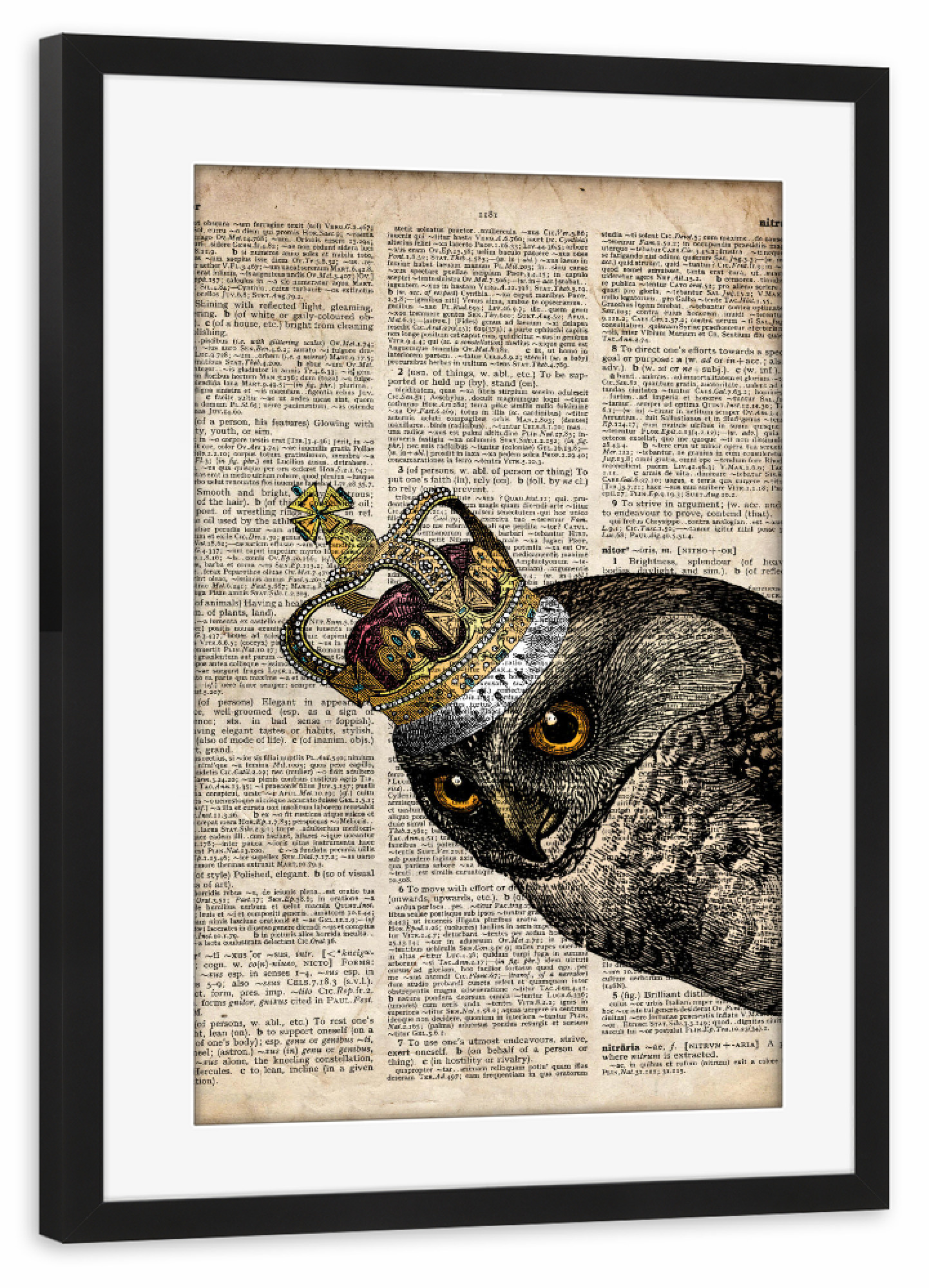 Poster mit Rahmen schwarz "Königin Eule - Wörterbuch" artboxONE - Tiere - Eule,Vogel,Tier,Königin,Königlich,Wörterbuch,Antik,Vintage