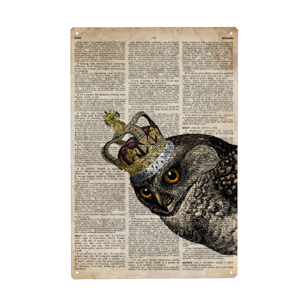 Metall Poster "Königin Eule - Wörterbuch" artboxONE - Tiere - Eule,Vogel,Tier,Königin,Königlich,Wörterbuch,Antik,Vintage - Blechschild