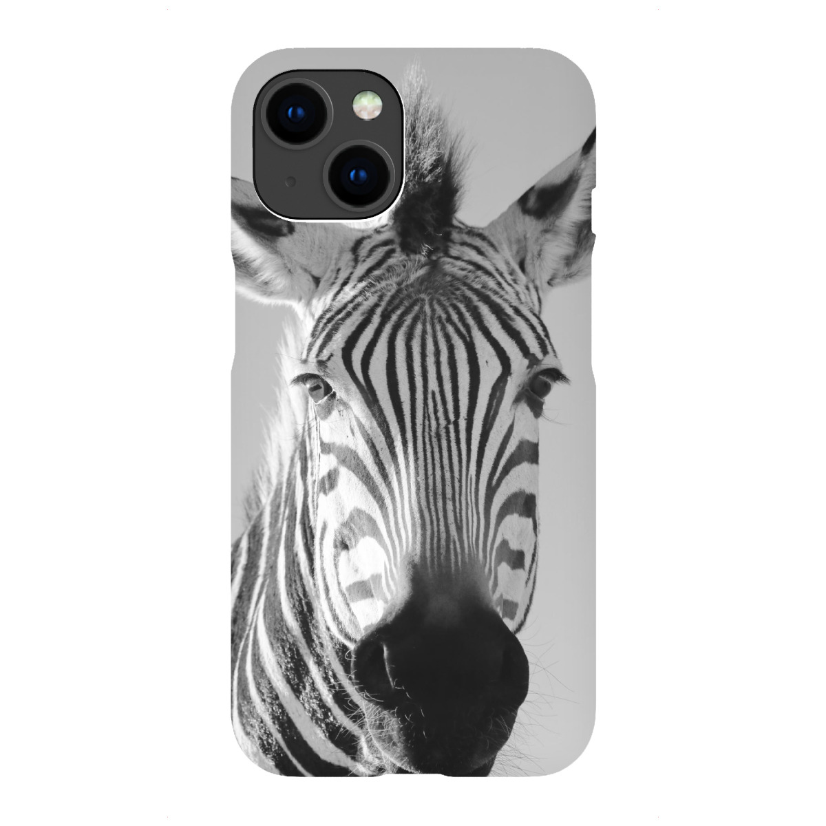"Lustiges Berg Zebra"für iPhone - Premium-Case Handyhülle artboxONE