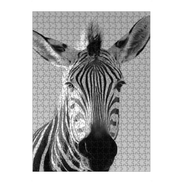 Puzzle Ravensburger "Lustiges Berg Zebra" artboxONE - Tiere,Schwarzweiß,Reise / Afrika - Berg zebra,Lustig,Afrika - Bild berg zebra