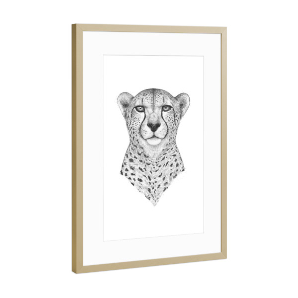 Poster mit Rahmen Gold "The Cheetah" artboxONE - Tiere,Schwarzweiß - Cheetah,Cat,Black and white,Leopard