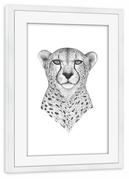 Poster mit Rahmen weiß "The Cheetah" artboxONE - Tiere,Schwarzweiß - Cheetah,Cat,Black and white,Leopard