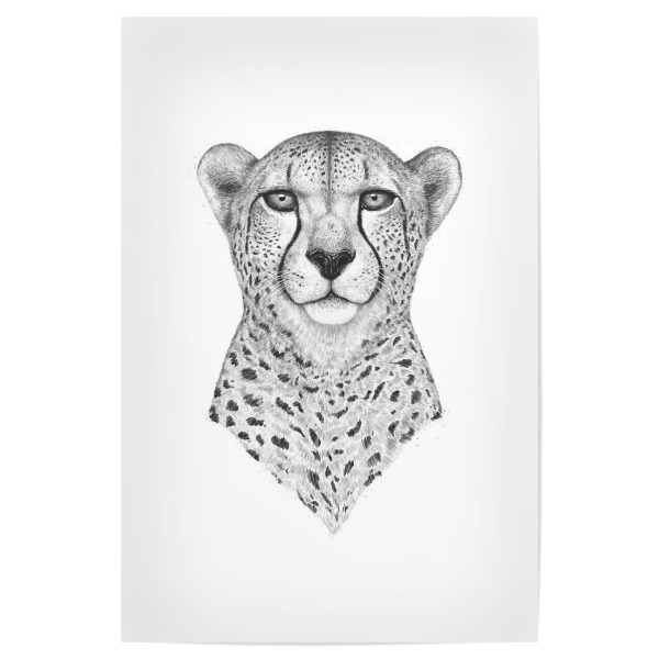 Poster 30x20 cm "The Cheetah" artboxONE - Tiere,Schwarzweiß - Cheetah,Cat,Black and white,Leopard