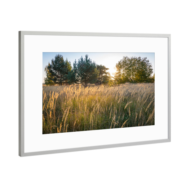 Poster mit Rahmen Silber "Kreptitzer Heide" artboxONE - Natur - Sonnenuntergang,Feld,Mecklenburg-vorpommern,Deutschland,Bäume,Herbst